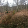 Отель Invercreran Lodge Luxury Bed & Breakfast, фото 21