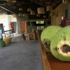 Отель Maayong Hostel - Adults Only, фото 23