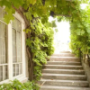 Отель Clos du Moulin, фото 6