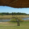 Отель Okavango River Lodge, фото 20