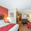 Отель Comfort Suites Manchester, фото 4
