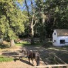 Отель Horse4C Ranch, фото 10