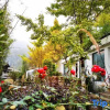 Отель Geyuan Hostel, фото 1