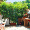 Отель Nice Holiday Home in Marina di Massa near Beach, фото 11