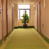 Отель GreenTree Inn Shangrao Qianshan County Hekou Ancie, фото 2