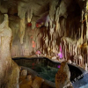 Отель Wutong Hot Spring Hotel, фото 14