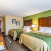 Отель Comfort Inn & Suites, фото 6