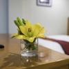 Отель Golden Town Hotel, фото 20