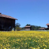 Отель Villa Neva Hotel, фото 10