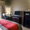 Отель Comfort Inn & Suites, фото 7