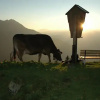 Отель Acherberg Alm, фото 7