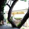 Отель Villa Minda, фото 19