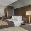 Отель Comfort Inn Toronto City Centre, фото 6