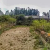 Отель Yercaud Grand Inn Hotels & Resorts, фото 9