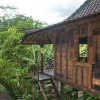 Отель DD Ubud Jungle Villa, фото 22