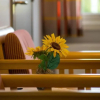 Отель Oslo Airport Motel, фото 8