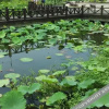 Отель Putuo Mountain Villa, фото 19
