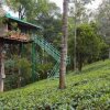 Отель Treehouse With Wi-Fi In Munnar, By Guesthouser 10760, фото 13