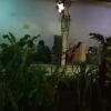 Отель Sasaq Homestay, фото 1