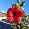 Отель Magicstay - Aparthotel 4 Stars Paros, фото 5