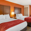 Отель Comfort Inn Greensboro - Kernersville, фото 5