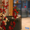 Отель Nantong Jinduo Elegant Hotel (Nantong Dieshiqiao Home Textile City), фото 1