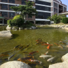 Отель Jinsa Lakeside View Resort, фото 28