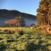 Отель Narrow Neck Creek Farmstay and B&B, фото 21