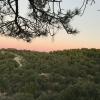 Отель El Pinar De La Lobera, фото 16