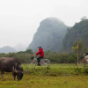 Отель Heritage Line Violet Cruise - Ha Long Bay and Lan Ha Bay, фото 2