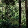 Отель Coorg Heritage Inn Pvt. Ltd. (CHIPL), фото 5