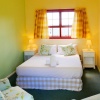 Отель Ducks & Drakes Boutique Motel & Backpackers в Нью-Плимуте