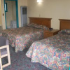 Отель Flamingo Motel, фото 4