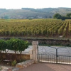 Отель La Vigneraie, фото 12
