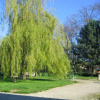 Отель les chambres d'hôtes Benoit Breton, фото 9