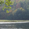 Отель River Road Callicoon Rental House, фото 3