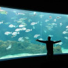 Отель Arhontiko Villa, фото 19