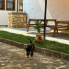 Отель İrinikos Otel, фото 16
