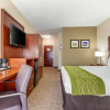 Отель Comfort Inn, фото 7