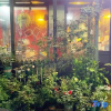 Отель Yangshuo Jiayi Bingding Homestay (West Street Lijiang Branch), фото 5