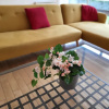 Отель Luxury River View 2-bed Apt, Wifi, Garden, River, фото 12
