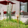 Отель IntercityHotel Zurich Airport, фото 15