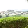 Отель Villa Felice, фото 5