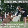 Отель Pałac Zegrzyński - Bungalows в Зегже