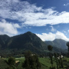 Отель Homestay Deddy Cemorolawang, фото 7