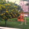 Отель Axxodia porto new cairo residence, фото 16