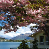 Отель Villa del Lago, фото 12