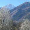 Отель Residenza VillAmour, фото 3