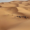 Отель Camp Camelhouse Merzouga, фото 11