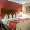 Отель Red Roof Inn & Suites Little Rock, фото 7